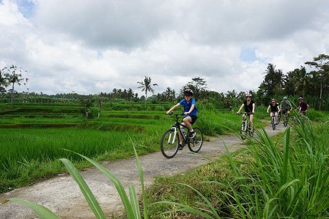 Billet Visite en vélo Le meilleur de la culture de Bali