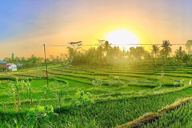 Lombok : Tetebatu Walking Tour Rizières en terrasses et cascades cachées