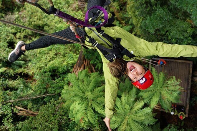 Rotorua’s Ultimate Zipline : 6 tyroliennes, 400 m Tandem, Cliff Walk