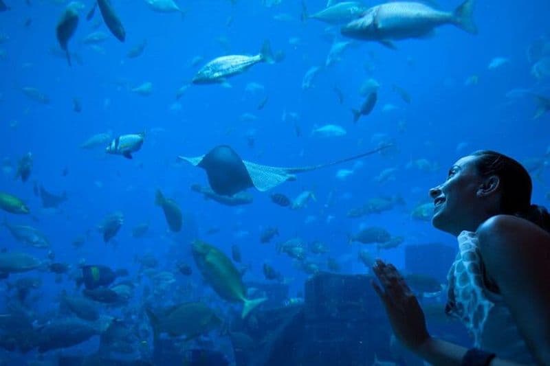 Visite de la ville de Barcelone à arrêts multiples et aquarium