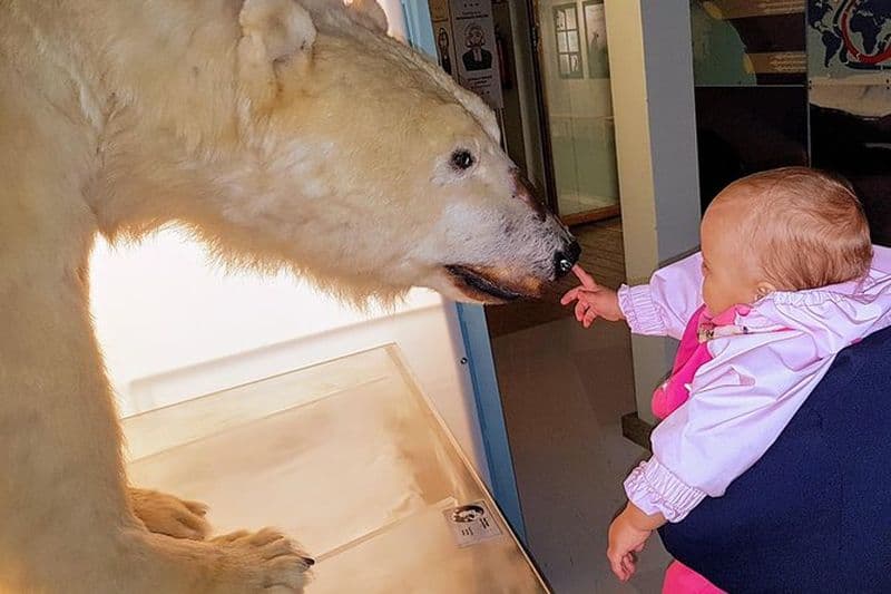 Billet Visite à pied de Rovaniemi et expérience guidée d'Arktikum