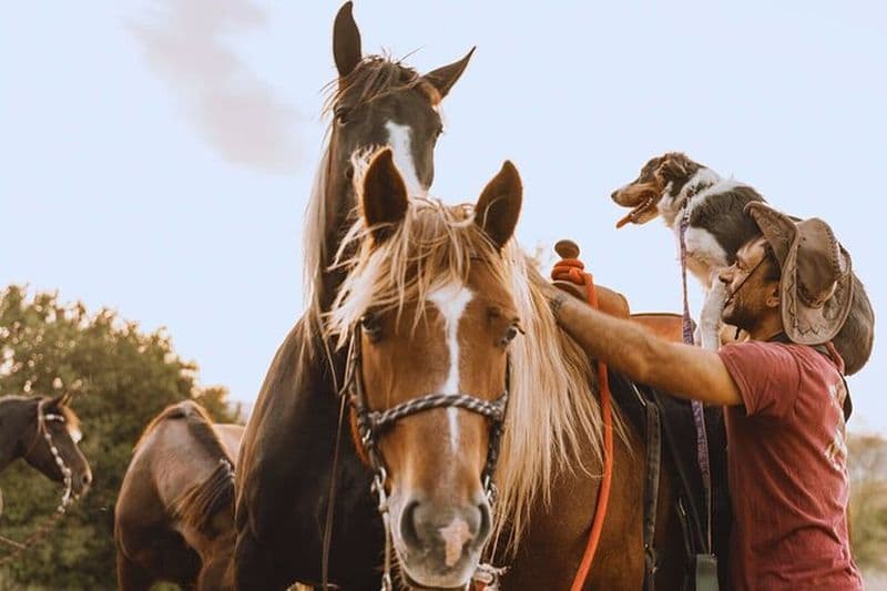2 - heure Balade à cheval dans la réserve naturelle de Furlo à Urbino