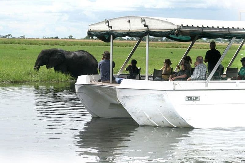 Croisière au coucher du soleil sur la rivière Chobe avec ramassage à l'hôtel de Kasane