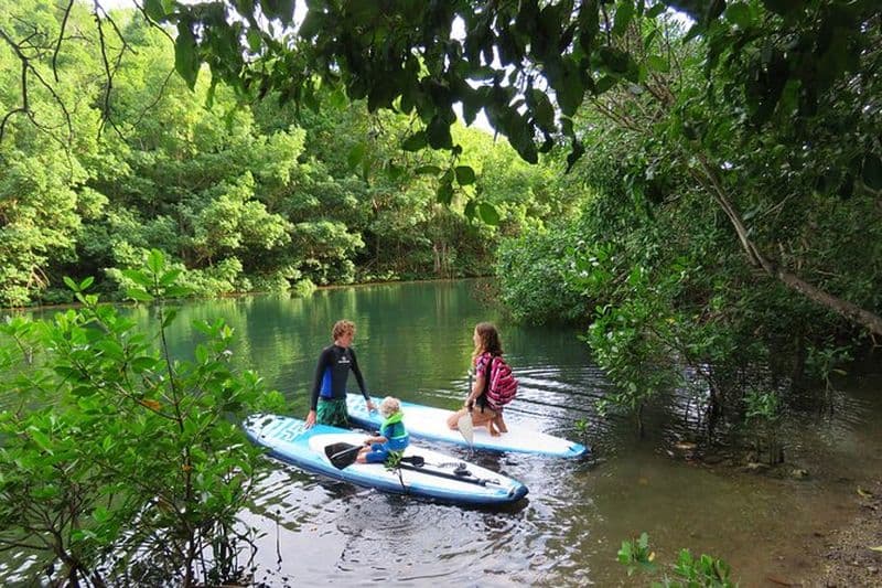 Aventure Stand Up Paddle en Guadeloupe