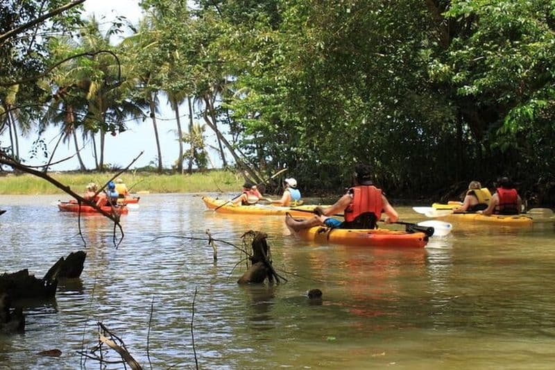 Aventure en kayak sur la rivière Roseau à Sainte-Lucie