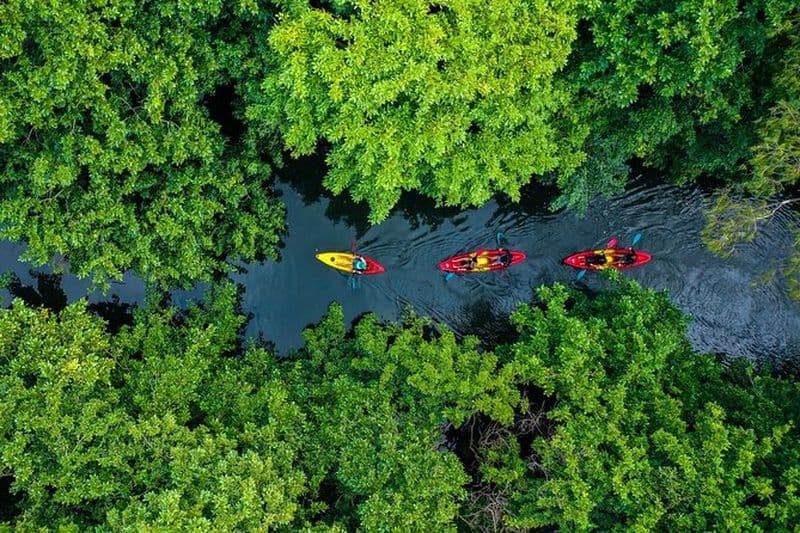 Visite guidée en kayak de l'après-midi sur la rivière Tamarin