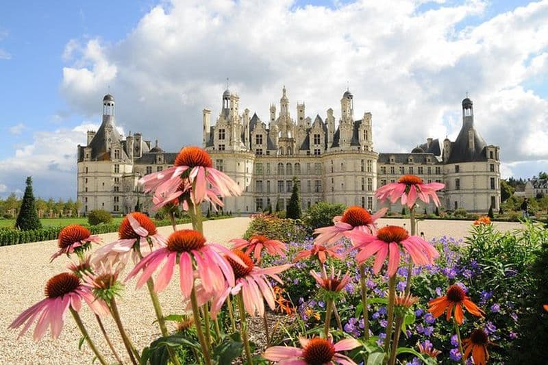 Visite privée Châteaux de Chambord, Blois, Cheverny & dégustation de vins