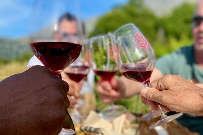 Dégustation de vins à Patrimonio & Saint-Florent