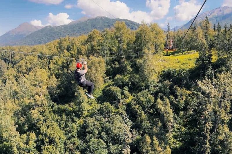 Zipline & visite de la ferme