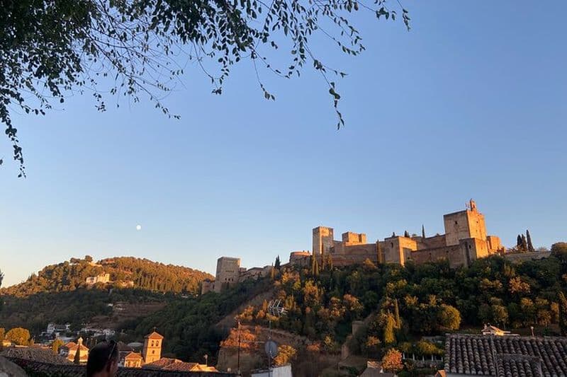 Visite privée de l'Albayzin et du centre (billets inclus) + dégustation de vins