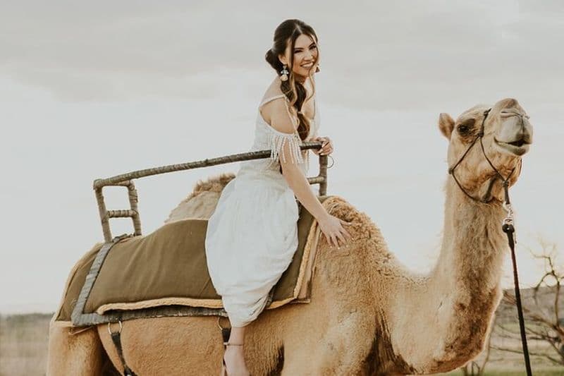 Camel Safari - Balade à dos de chameau et visite du zoo