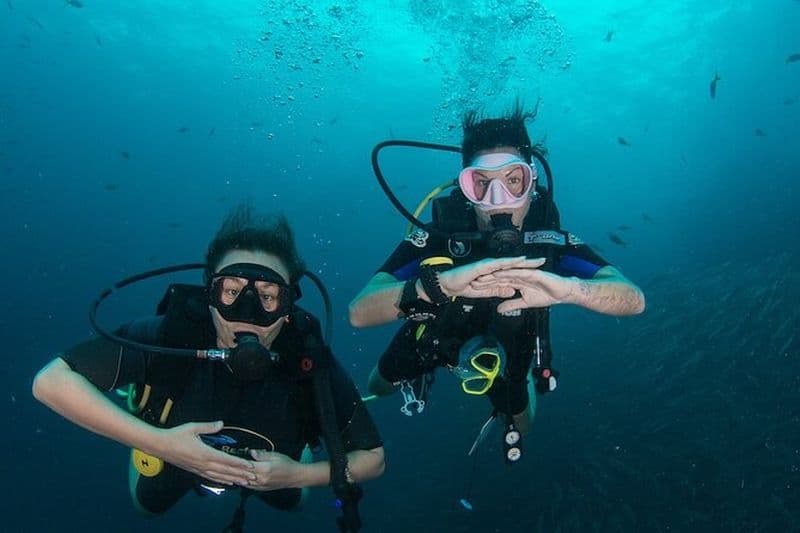 Billet Cours en eau libre La Bombona Diving Koh Tao