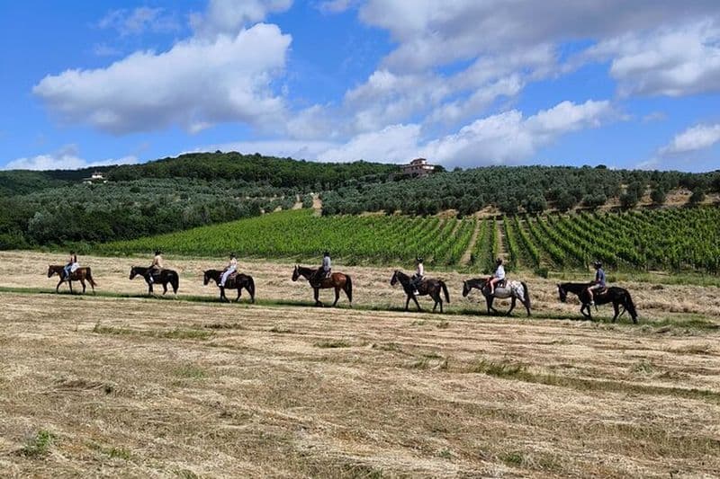 Billet Balade à cheval dans les vignes
