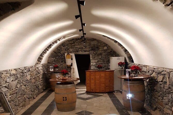 Activité en minibus privatisé, dégustation de Vins en Valais