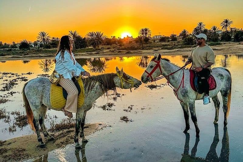 Balade à Cheval ou Dromadaire au Coucher de Soleil à Djerba