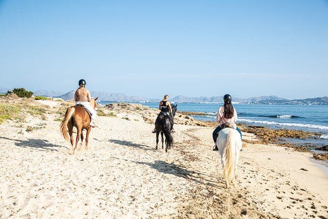 Équitation sur la plage de 3 heures pour découvrir la beauté de la baie d'Alcudia