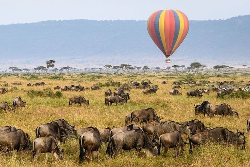 Vivez l'expérience d'une montgolfière au Masai Mara Kenya