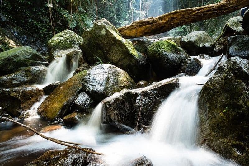 Billet Aventure et randonnée jusqu'à la cascade de Tai Mo Shan