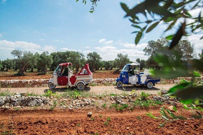 Visite privée en tuk tuk des oliveraies millénaires à Ostuni