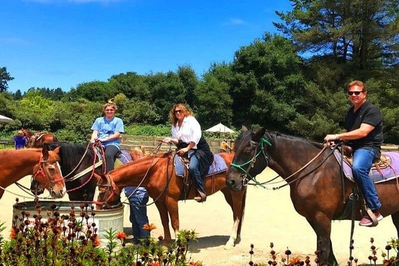 Billet Équitation privée et aventure Muir Woods au départ de San Francisco