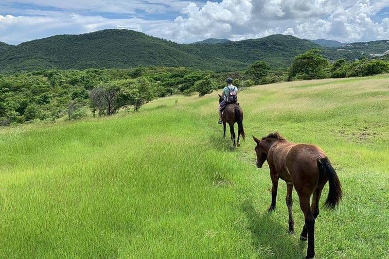 Promenade privée avancée à cheval sur la plage avec Sandy Hoofs Sainte-Lucie