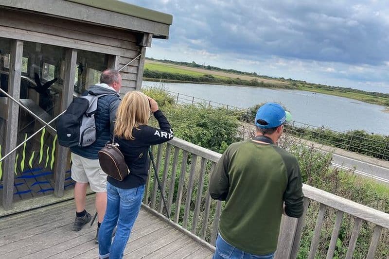 Visite guidée privée d'une journée d'observation des oiseaux dans le Sussex