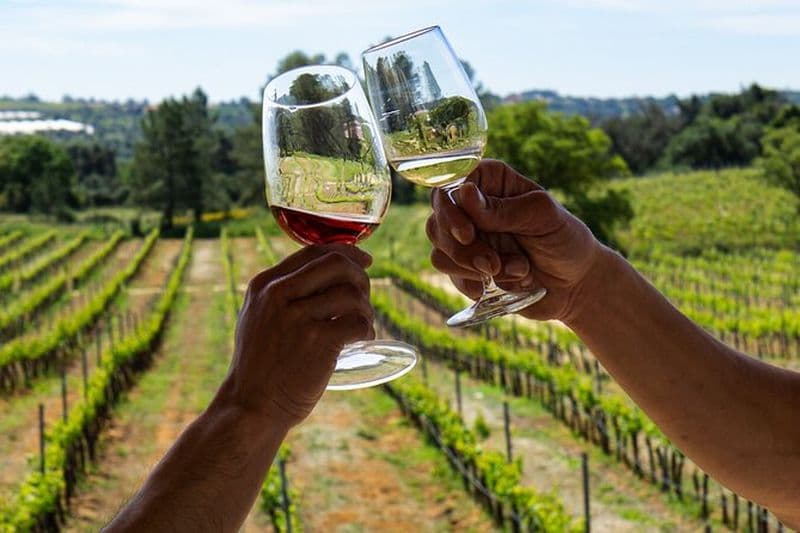 Visite d'une journée complète des vignobles de l'Algarve au départ d'Albufeira