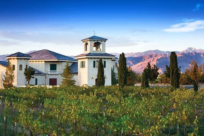 Billet Visite de dégustation de vin au départ de Las Vegas avec collations