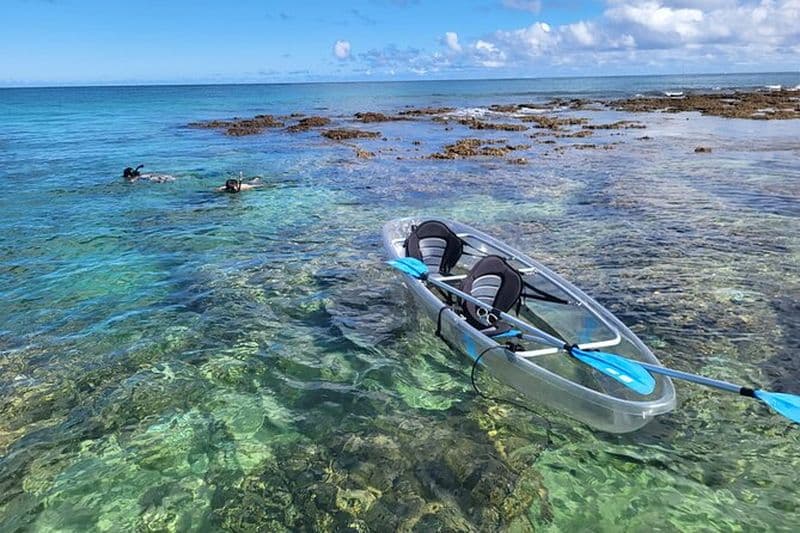 Clear Bottom Kayak - Garanti de voir des tortues!