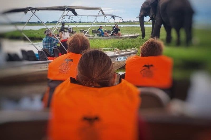 Billet croisière en bateau au coucher du soleil de 3 heures à chobe