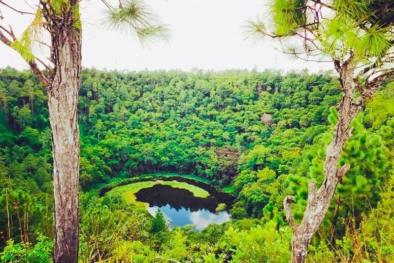 Visite du sud de l'île Maurice avec dégustation de vin et de thé