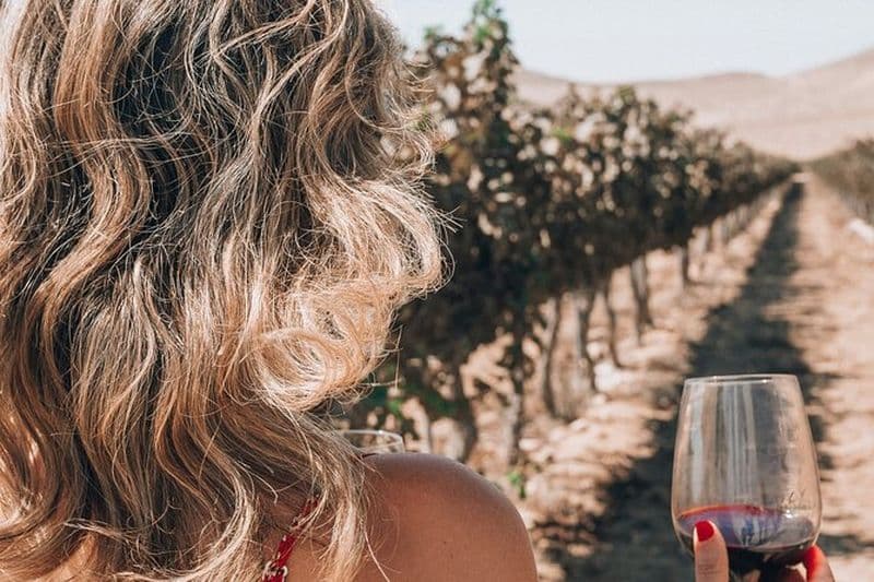 Plongée au cœur des vignobles Visite privée