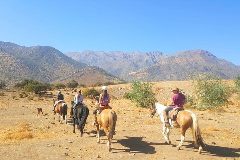 Billet Excursion à cheval dans les Andes Santiago du Chili