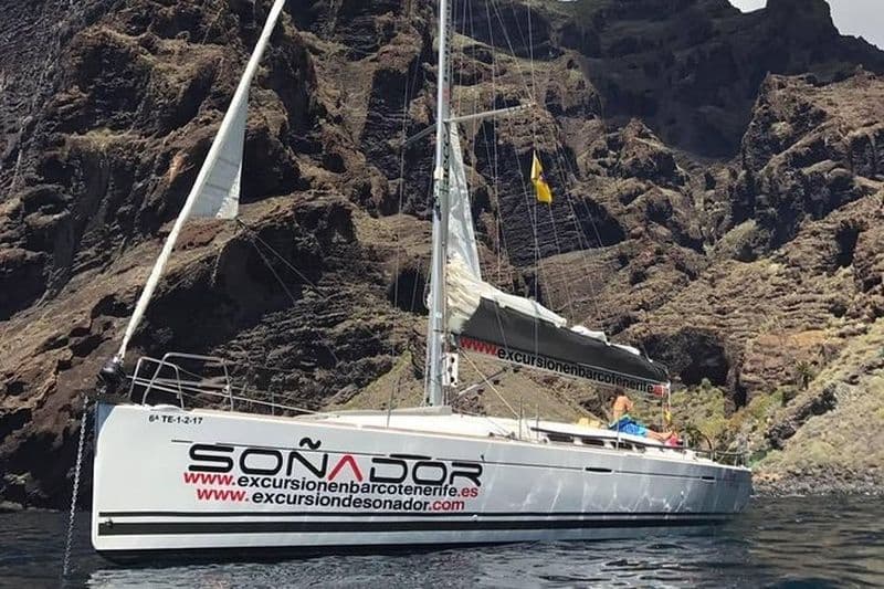 Billet 3 heures de voyage tout compris pour observer les baleneis et les dauphins