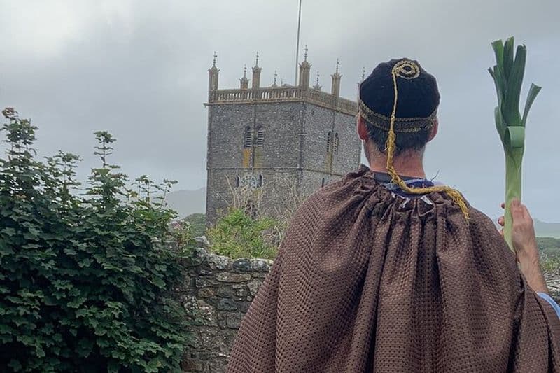 Billet Visite à pied de la comédie de St Davids