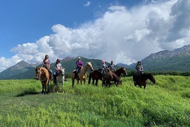 Billet Trail Ride et Zipline Adventure Combo