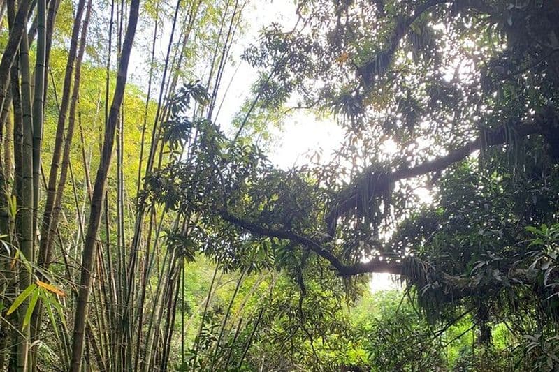 Glissez dans l'aventure : Randonnée et toboggans naturels