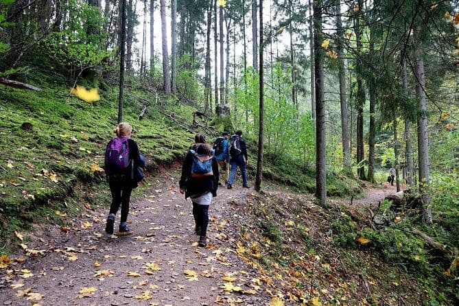 Aventure de randonnée dans le parc national de Gauja - 7 jours