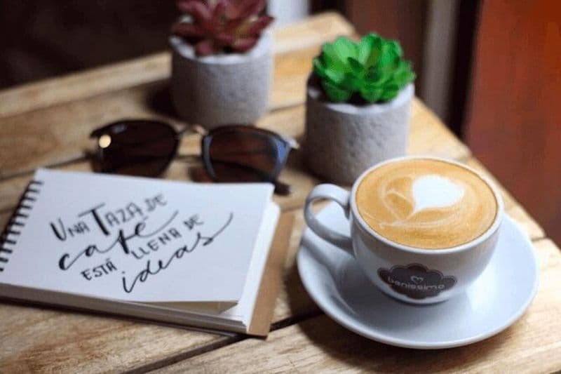 Dégustation panaméenne de café et chocolat Geisha visite tout compris