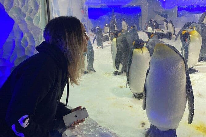 Excursion privée d'une journée à Auckland, Aquarium, Sky Tower, Mt Eden & Wētā