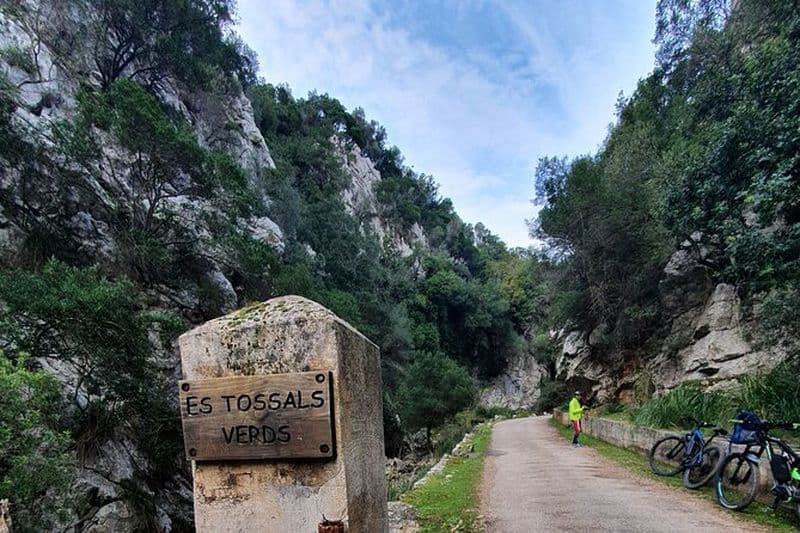Expérience d'une demi-journée en VTT à la Serra de Tramuntana,
