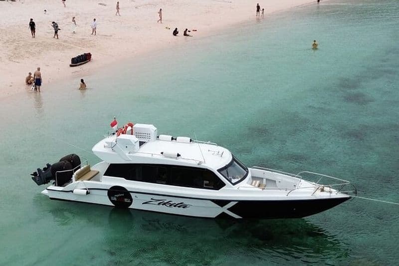 Excursion d'une journée à Komodo et plongée en bateau à moteur