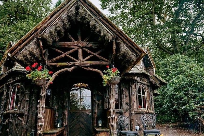 Visite privée de la Forêt-Noire et dégustation de vin en Alsace