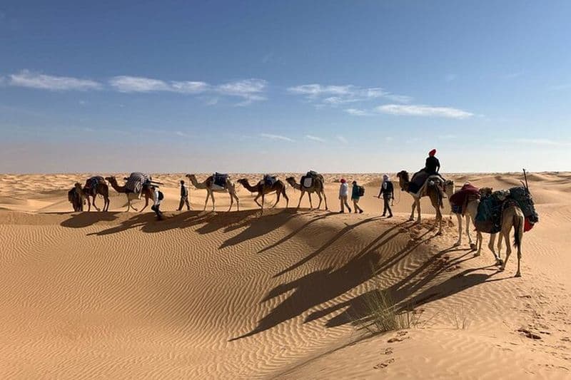 Nuit Camel Trek et Camp Séjour au Sahara