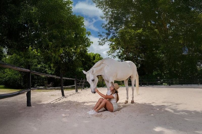 Billet Balade à cheval et baignade dans les cénotes de Cancún ou de Playa del Carmen