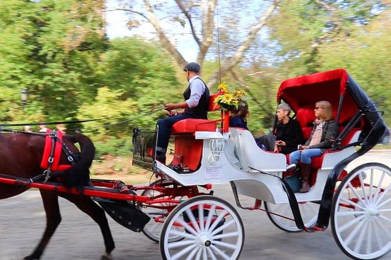 Promenade en calèche dans Central Park à New York (jusqu'à 4 adultes)