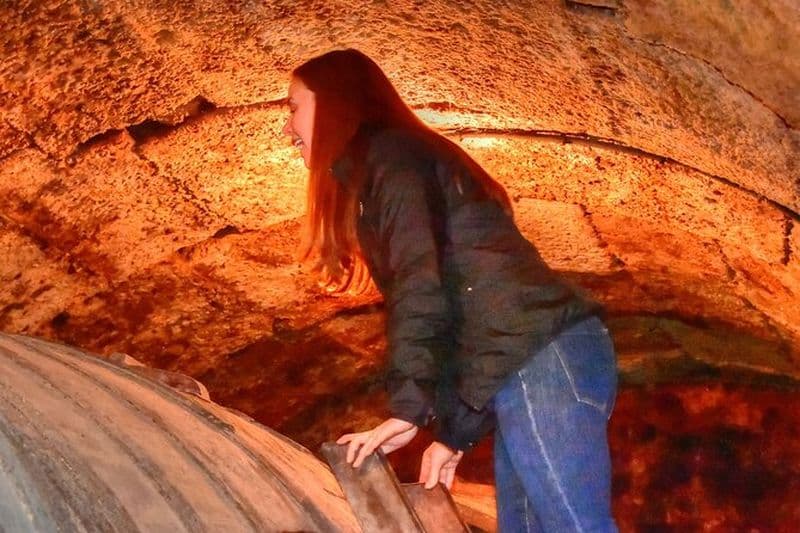 Billet Visite privée d'une journée complète des vins dans la Rioja