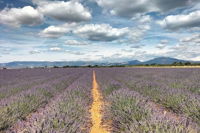 Billet Gorges du Verdon : Lavandes, Canyon Boat Picnic & Villages