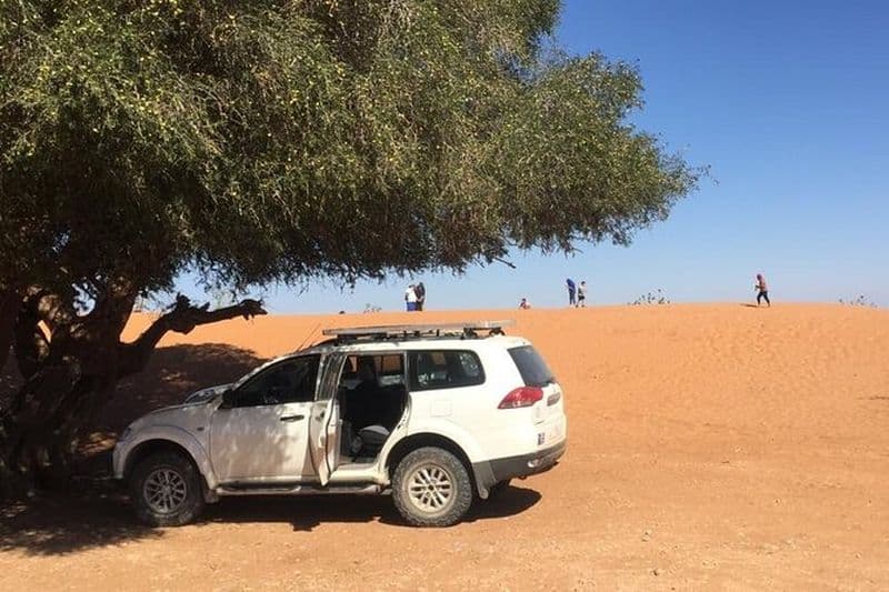 Billet Excursion d'une Journée d’Agadir à Massa en 4X4