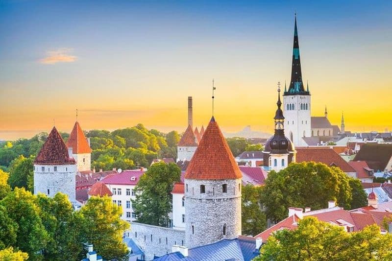 Excursion d'une journée à Tallinn ou transfert aéroport
